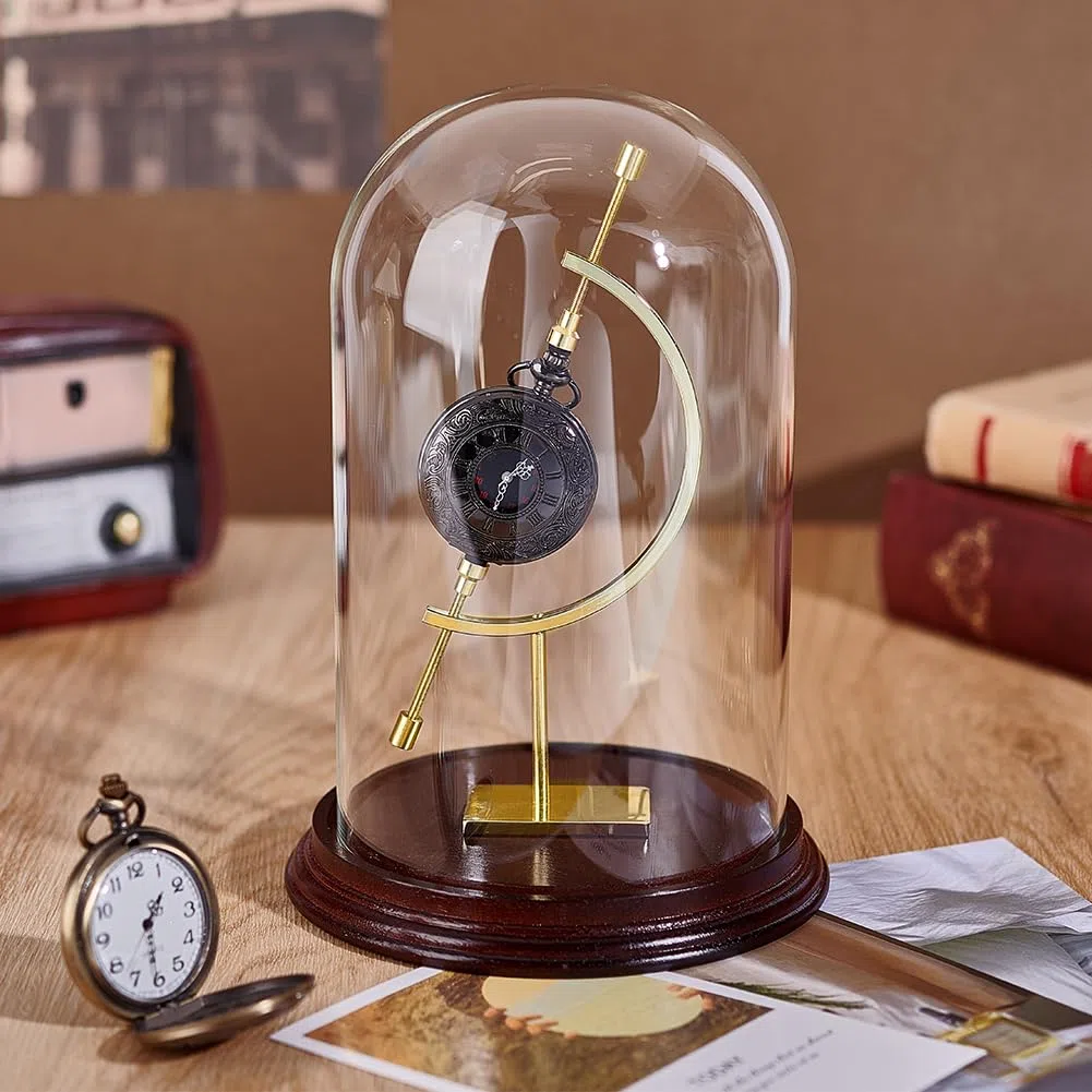 PH PandaHall 21.5x14.7cm Vitrine de Montre de Poche Cloche Dôme en Verre avec Support Sphérique et Base en Bois pour Plantes Médailles Photos Ornements