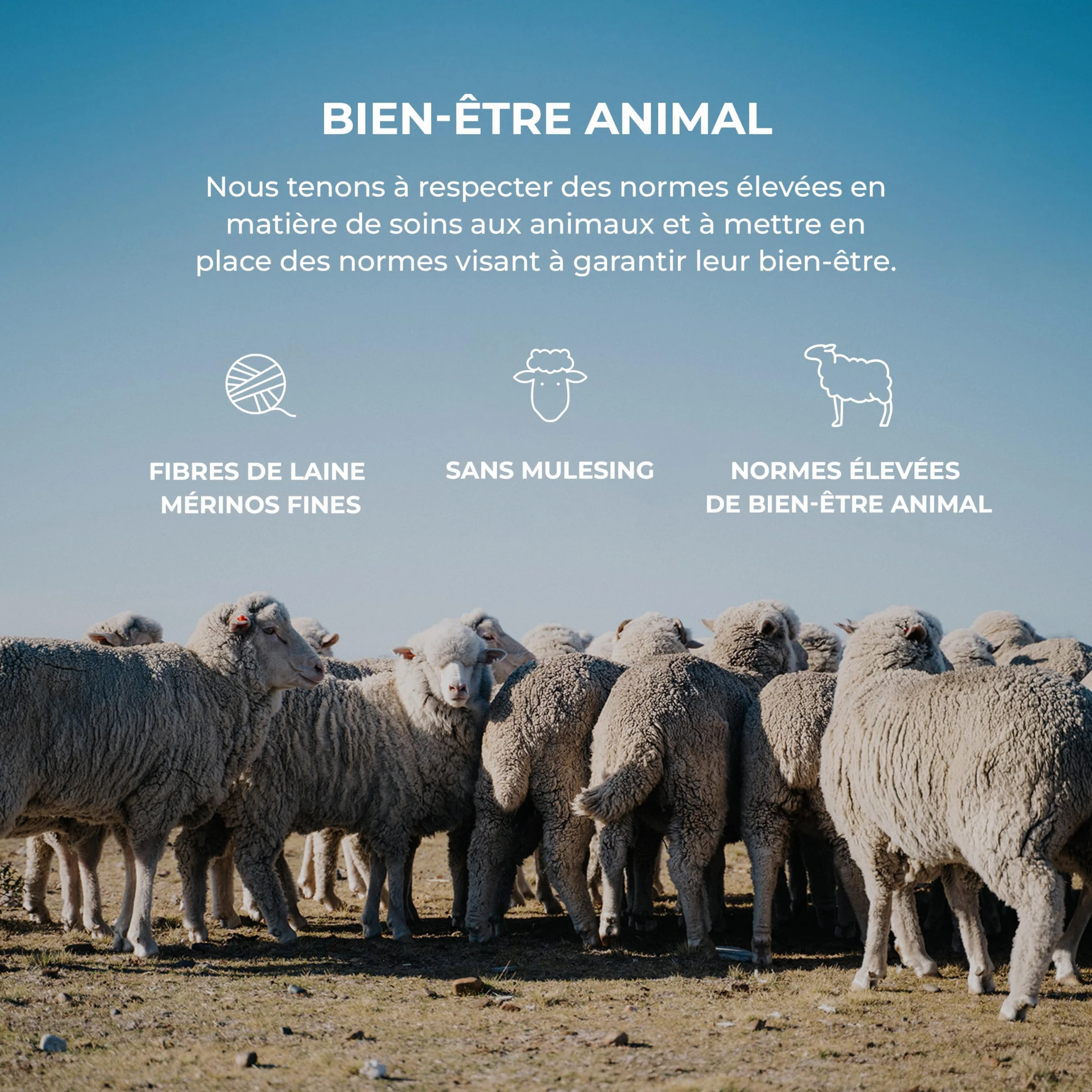 DILLING Legging pour Enfant, en Laine Bio et Soie Nature